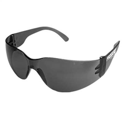 PROGARD CHALLENGER SAFETY GLASSES